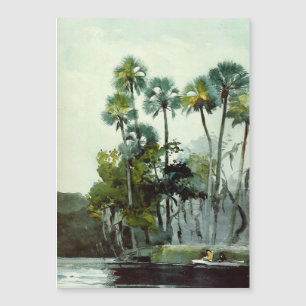Río Homosassa por Winslow Homer