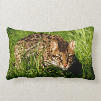 Río la almohada del Ocelot
