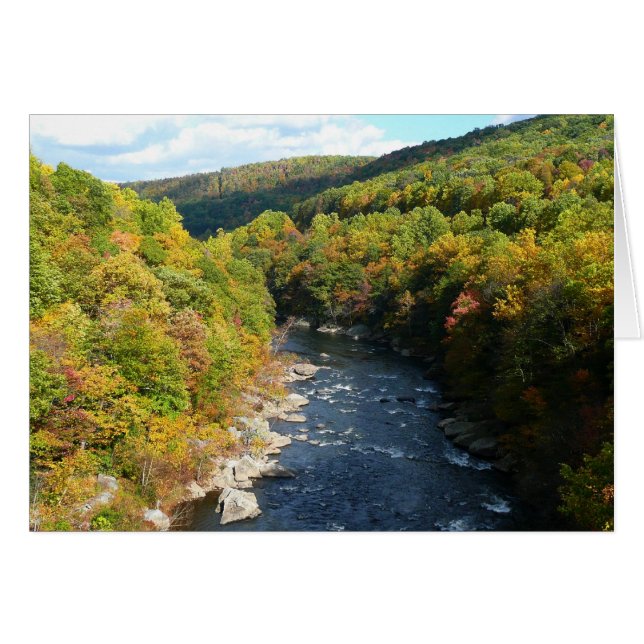 Río Ohiopyle en otoño en Pensilvania (Anverso (Horizontal))