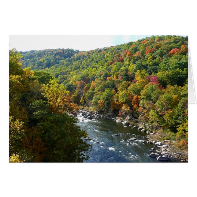 Río Ohiopyle en otoño II en Pensilvania (Anverso (Horizontal))
