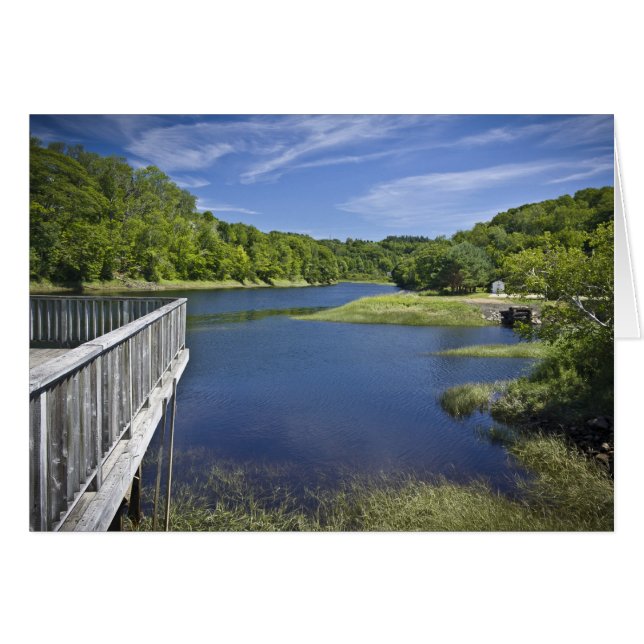 Río Oso, NS (Anverso (Horizontal))