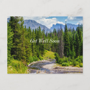 Río Shoshone North Fork Recupérate Pronto Tarjeta