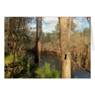 Río Suwanee, Parque Estatal Big Shoals, Florida