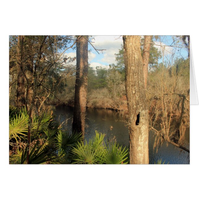 Río Suwanee, Parque Estatal Big Shoals, Florida (Anverso (Horizontal))