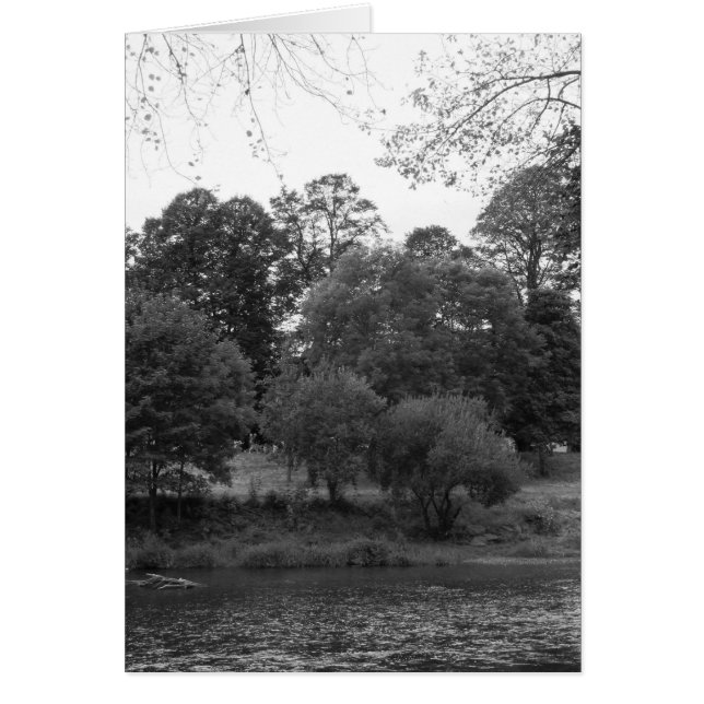 Río Taff en Bute Park, Cardiff - BW (Frente)