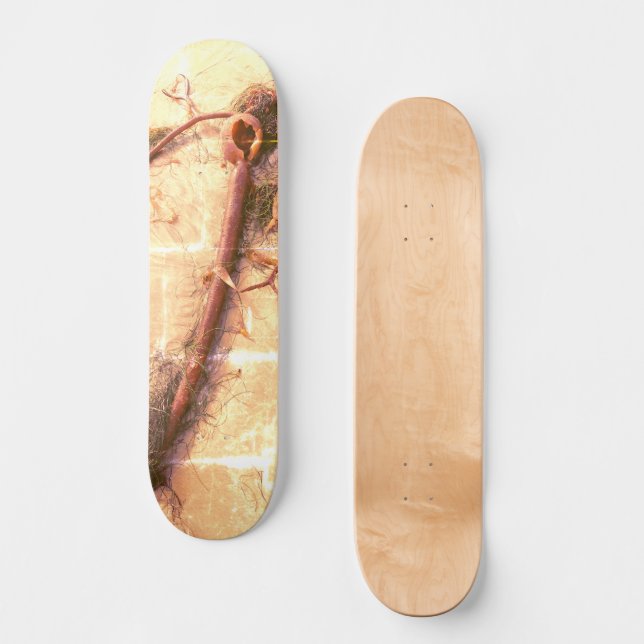 RIP Seaweed 2 Skateboard (Anverso)