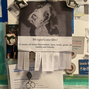 Ripp Off Flyer Puppy vendiendo verde rojo