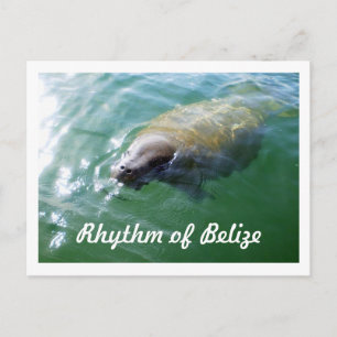 Ritmo de Belice Manatee en la tarjeta River Blank