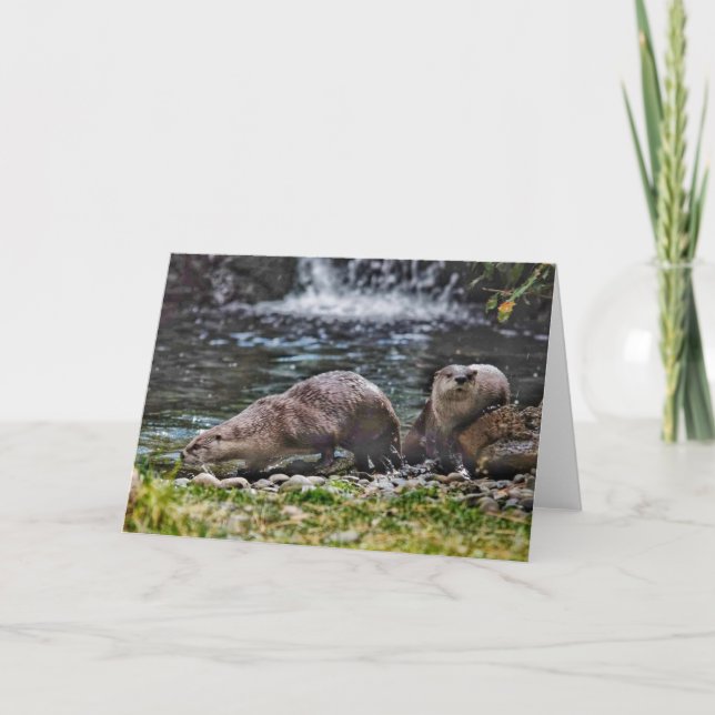 River Otters en la carta de notas en blanco (Anverso)