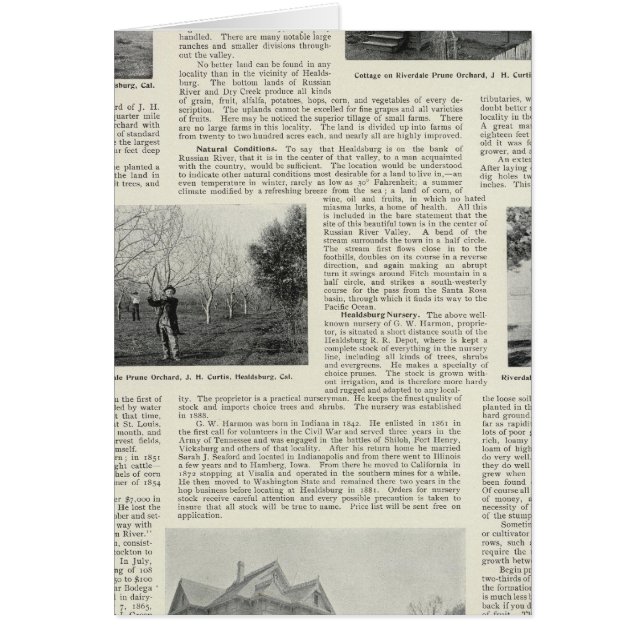Riverdale Prune Orchard, California (Frente)