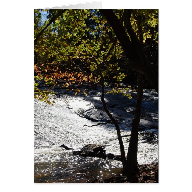 Riverside Sparkles (Frente)