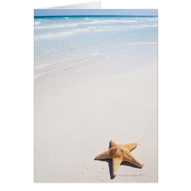 Riviera Maya (Frente)