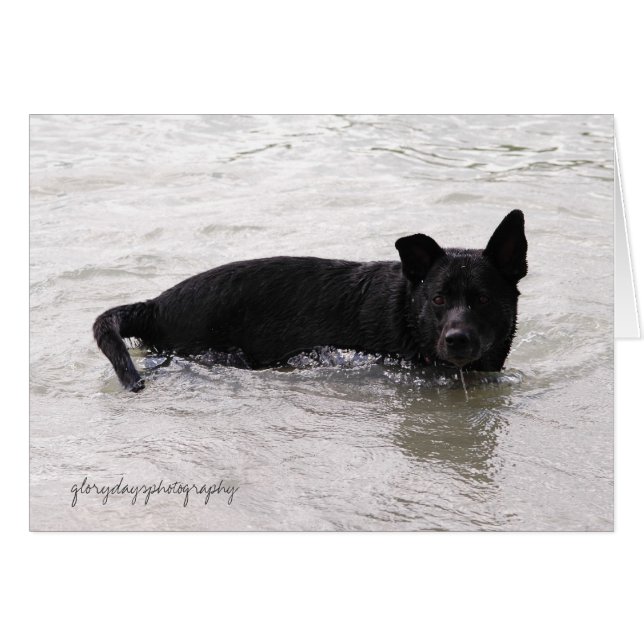 Rizzo disfrutando del lago (Anverso (Horizontal))