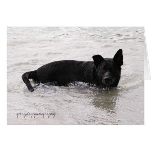 Rizzo que goza del lago