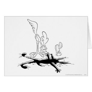 ROAD RUNNER™ y WILE E. COYOTE™