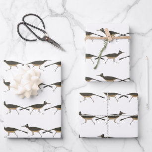 Roadrunner Wraper Papel conjunto plano de hojas de