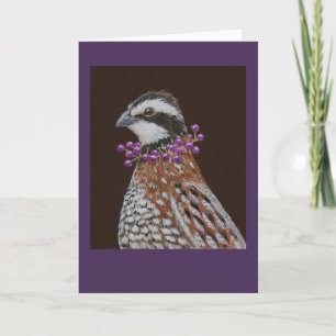 Robbie la tarjeta de saludo de bobwhite