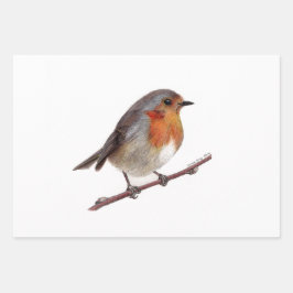 Robin Bird (Erithacus Rubecula) Papel de relleno