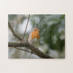 Robin Bird Nature Photo Jigsaw Puzzle
