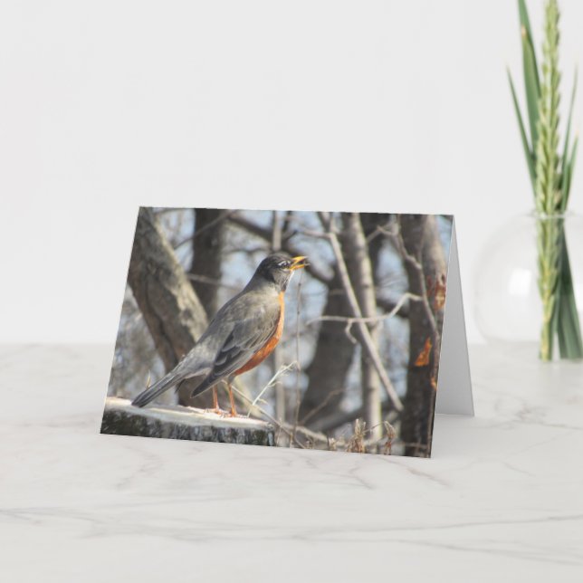 "Robin cantando junto al lago" Tarjeta de Pascua (Anverso)