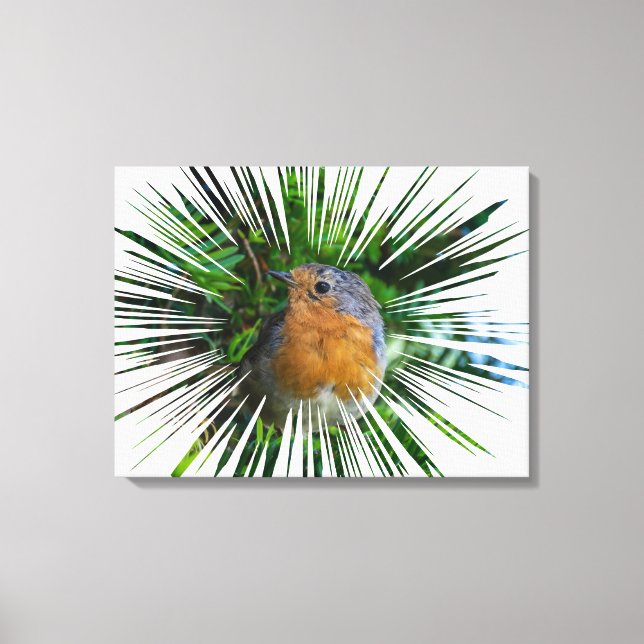 Robin cerrar la impresión de lienzo (Anverso)