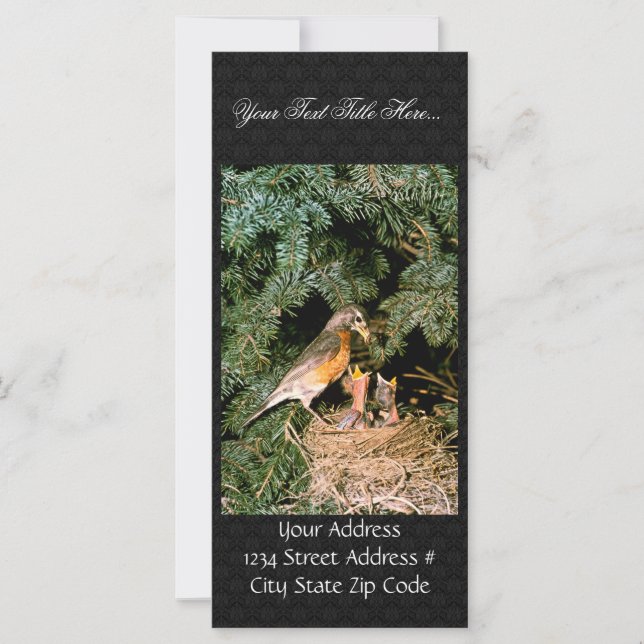 Robin con chicles (Anverso)