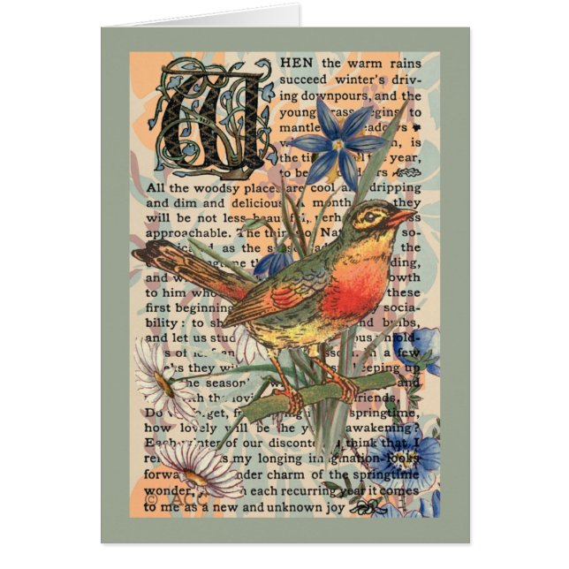 Robin de primavera (Frente)