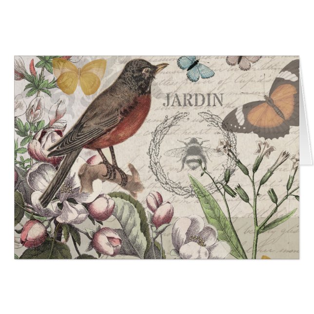 Robin Elegant Bird Butterfly Arte Francés (Anverso (Horizontal))