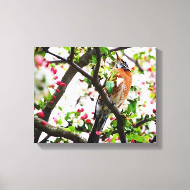 Robin en el lienzo de impresión de árbol de crabap (Anverso)