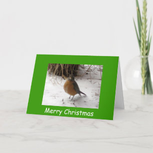 Robin en la Nieve, Feliz Navidad