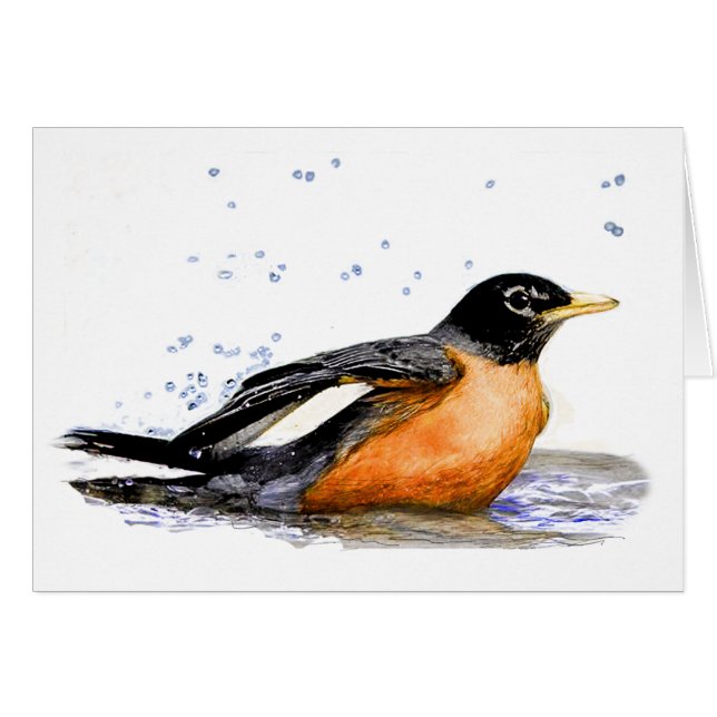 Robin tomando un baño (Anverso (Horizontal))
