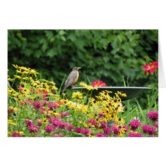 Robin y Flowers (Anverso (Horizontal))
