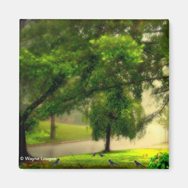 Robins en el imán del césped (Frente)