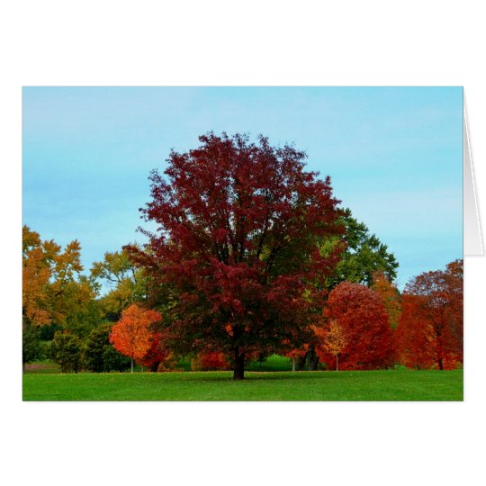 Roble rojo en otoño tarjeta de felicitación