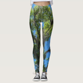 Roble verde y cielo azul en leggings