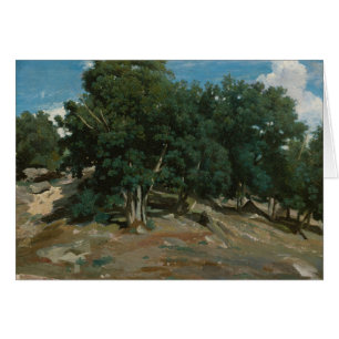 Robles de Fontainebleau