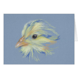 Roca Barroja de Chick Plymouth