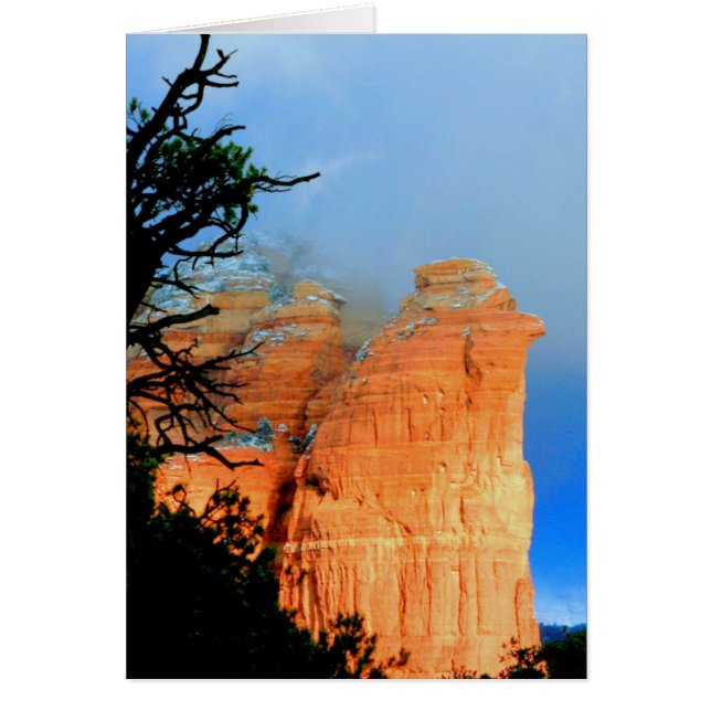 Roca Coffeepot en la nieve (Frente)