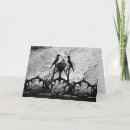 Roca de la Agonía, Jerusalén, Israel - tarjeta B&N