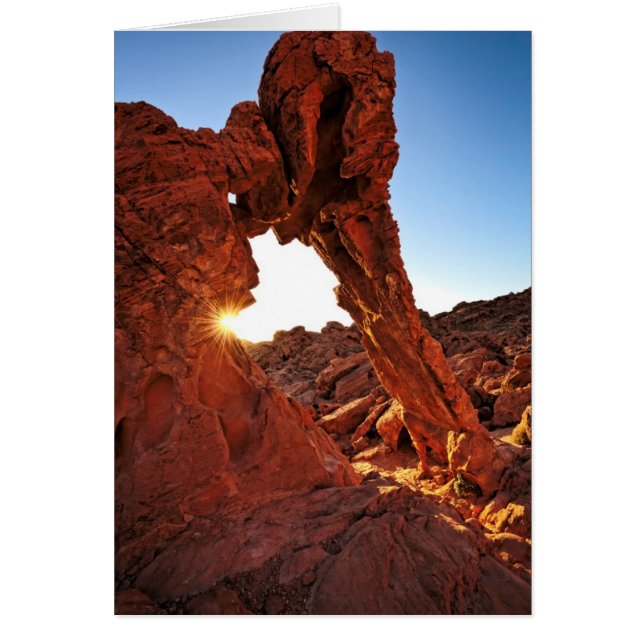 Roca elefante en el valle del fuego (Frente)