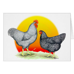 Rocas de Plymouth:  Salida del sol