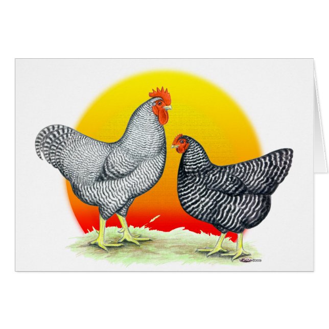 Rocas de Plymouth:  Salida del sol (Anverso (Horizontal))