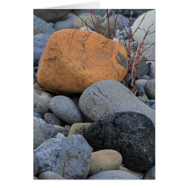 Rocas en el bosque de la secoya (Frente)