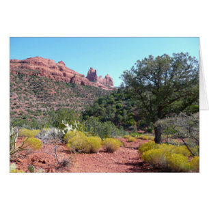 Rocas rojas y Cacti II en Sedona Arizona