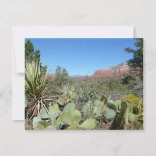 Rocas Rojas y Cactus I