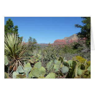 Rocas rojas y cactus I