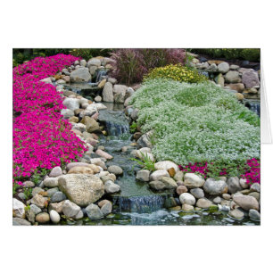 Rock Garden