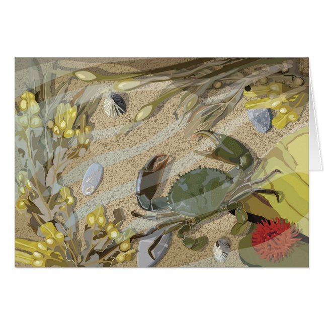 Rockpool (Anverso (Horizontal))