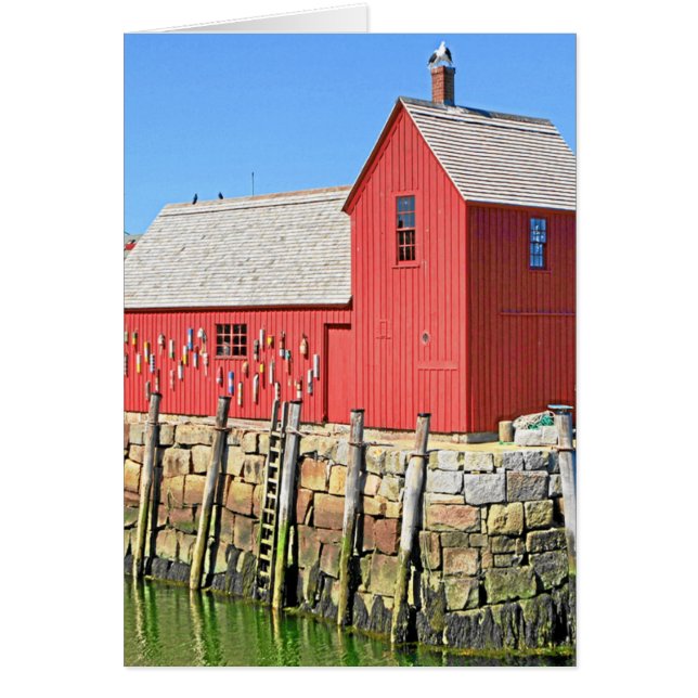 ROCKPORT, MAMÁES (Frente)