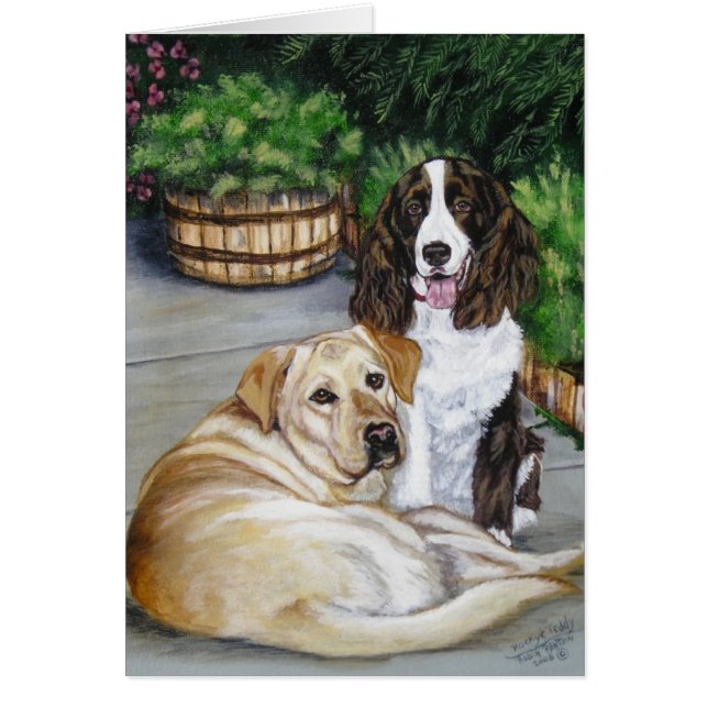 Rocky y Teddy (Frente)